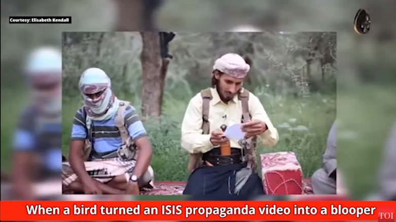 باڵندەیەك رێگە نادات سەرکردەیەکی داعش بەیعەت بۆ بەغدادی نوێ بکاتەوە